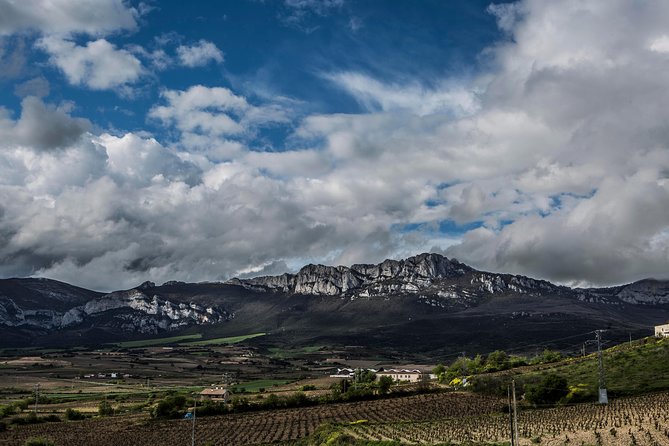 La Rioja wine tour: winery and traditional lunch from Bilbao - Who will enjoy this day most