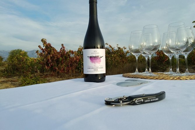 La Rioja wine tour: winery and traditional lunch from Bilbao - Laguardia, the first taste of Rioja Alavesa