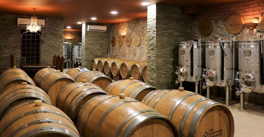 Lagoa: Guided Winery Tour and Local Wine Tasting - Why the guide matters here