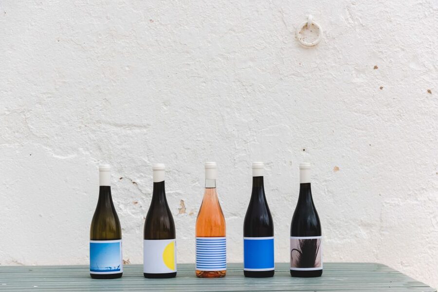 Lagoa: Vineyard Tour and Wine Tasting - What happens during the 1.5-hour experience