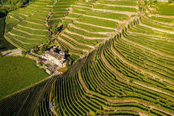Lake Como & UNESCO Dry-stone Walls Vineyards - Key points to know before booking