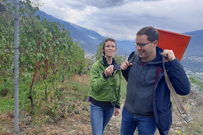 Lake Como & UNESCO Dry-stone Walls Vineyards - The real cost and the value of the day