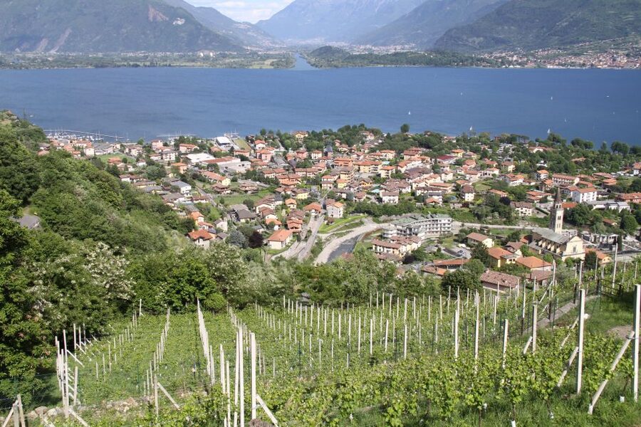 Lake Como: Winery Tour with Wine Tasting - Three wines and a generous table of local food