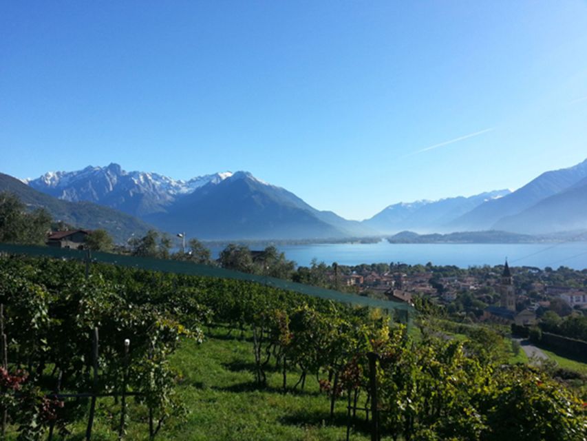 Lake Como: Winery Tour with Wine Tasting - The terrace view is part of the experience