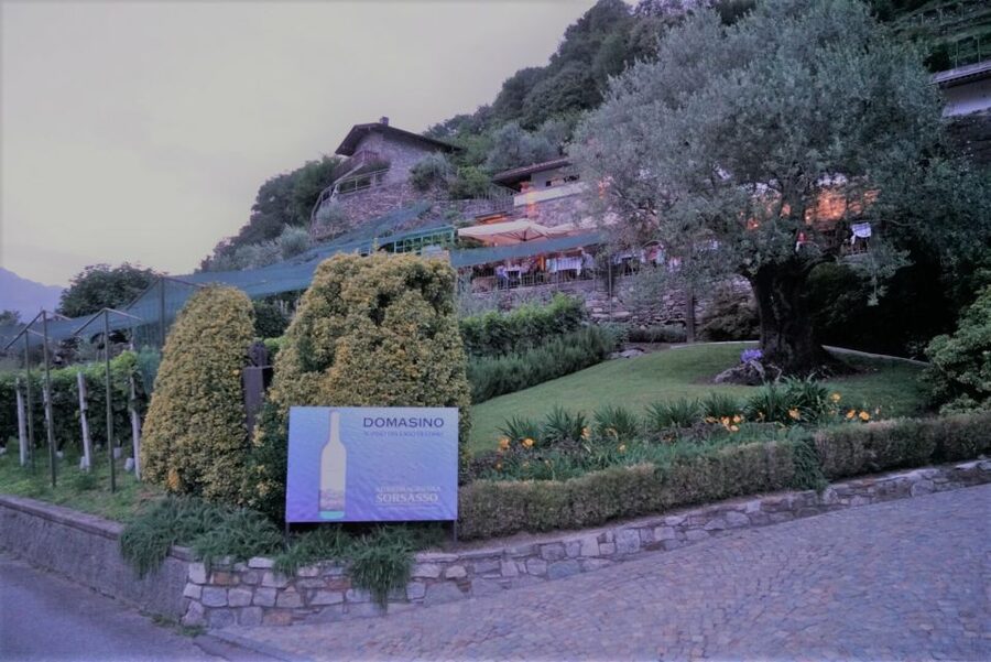 Lake Como: Winery Tour with Wine Tasting - Who will enjoy this most?