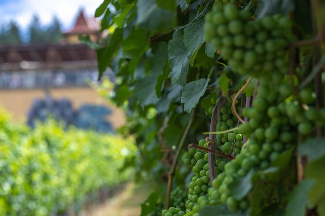 Lake Country Half Day Guided Wine Tour With 4 Wineries - Who will enjoy this Lake Country route