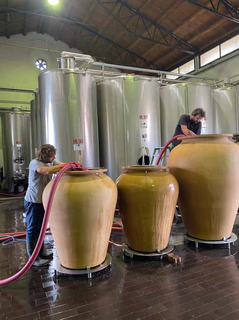 LAKE GARDA: VINEYARD AND WINERY TOUR - What the small group changes