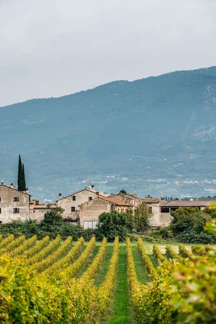 LAKE GARDA: VINEYARD AND WINERY TOUR - Who will enjoy this winery visit most?