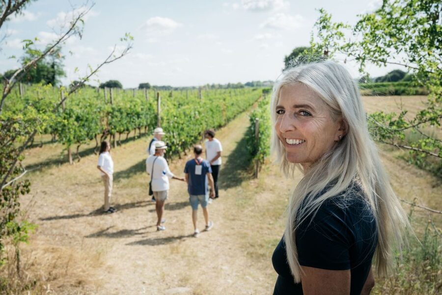 Lake Garda: Vineyard Tour and 6 wine Tasting - Key points at a glance