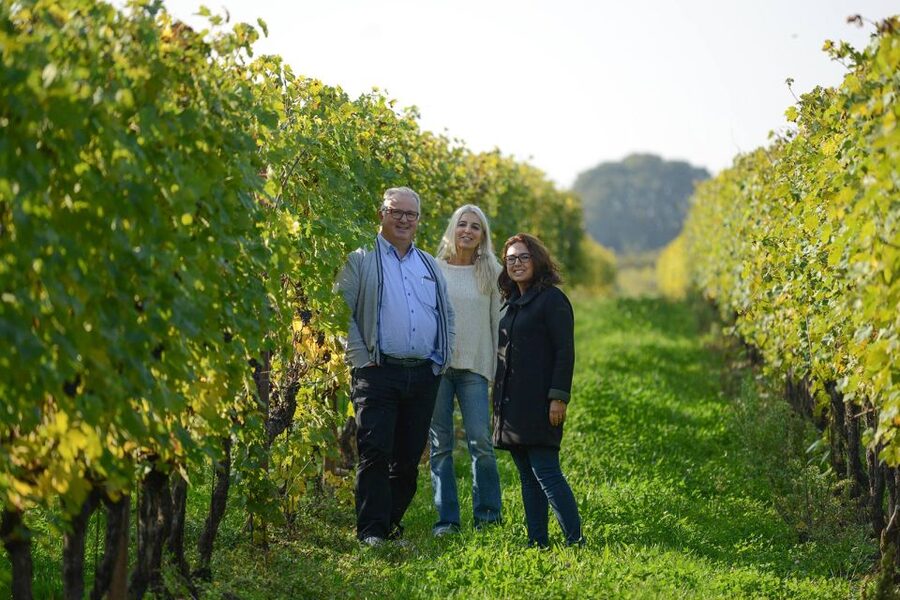 Lake Garda: Vineyard Tour and 6 wine Tasting - Getting to I Mischi and planning the visit
