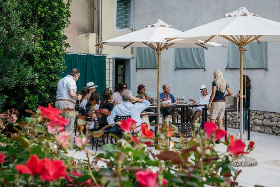 Lake Garda: Vineyard Tour and 6 wine Tasting - Magico brings Corvina into focus