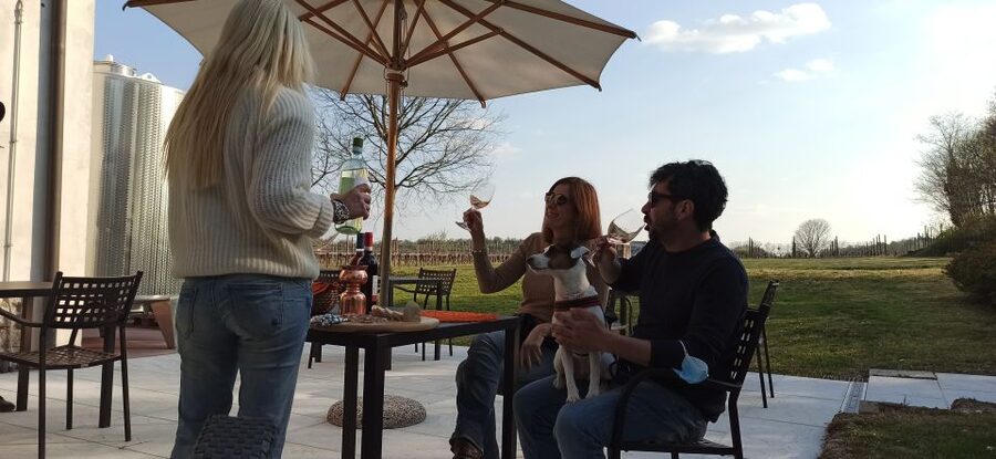 Lake Garda: Vineyard Tour and 6 wine Tasting - Ettore and Greta finish with wood-aged character