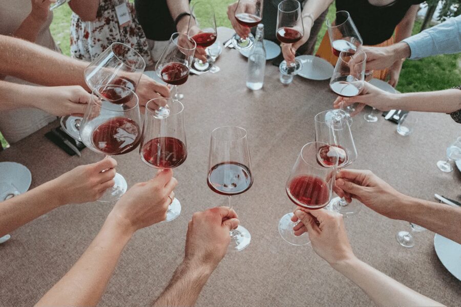 Lake Garda: Vineyard Tour and Tasting on the Hills - Walking the Vineyards on Lake Garda’s Hills