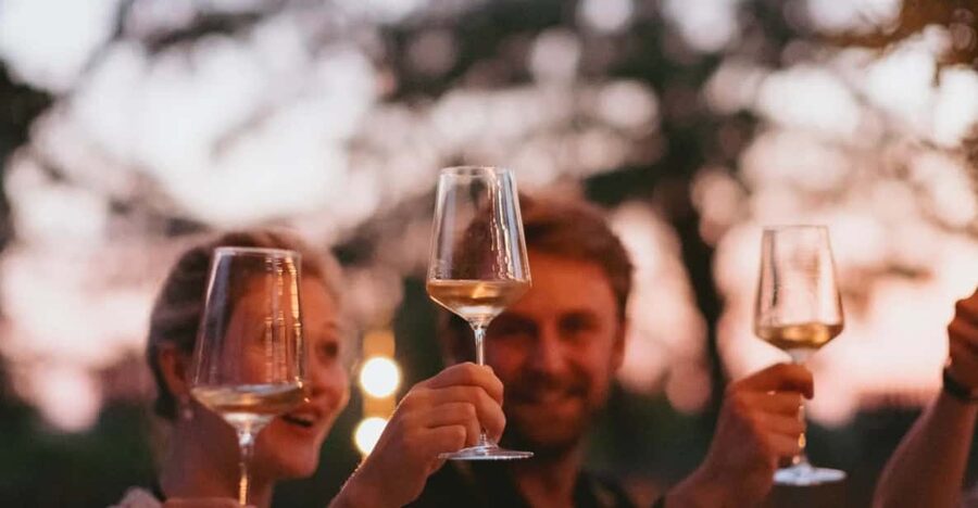 Lake Garda: Vineyard Tour and Tasting on the Hills - Five Wines and Food from the Surrounding Area