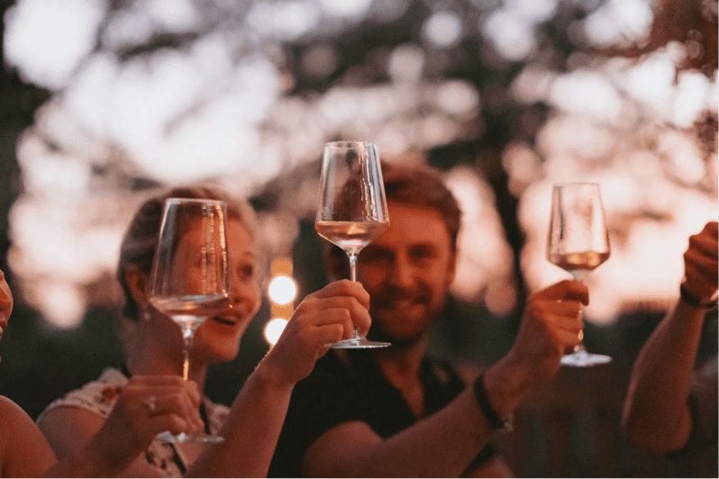 Lake Garda: Vineyard Tour and Tasting on the Hills - What the Organic Approach Means Here