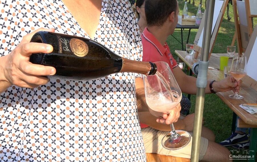 Lake Garda: Wine and Food Tastings in the Vineyards - Six wines among the vines in Lazise