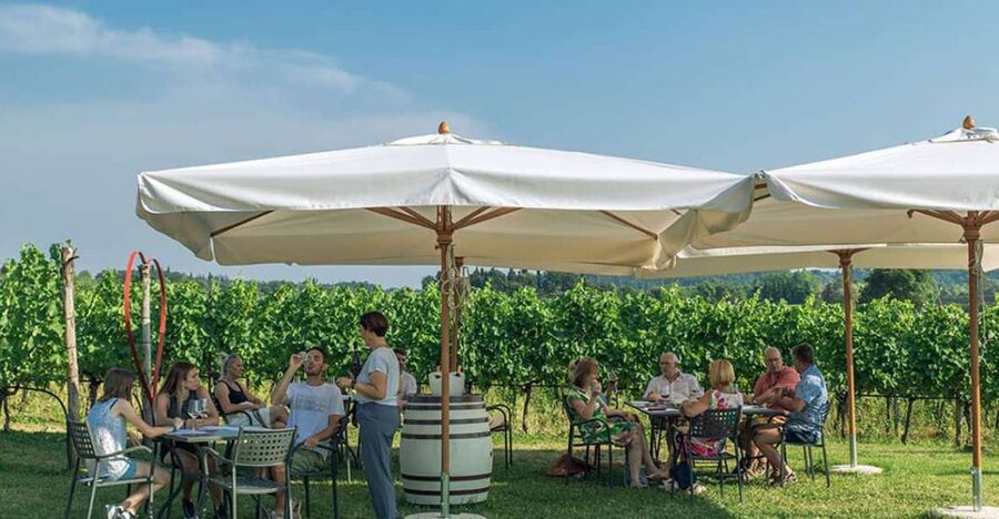 Lake Garda: Wine and Food Tastings in the Vineyards - What you taste with the wine