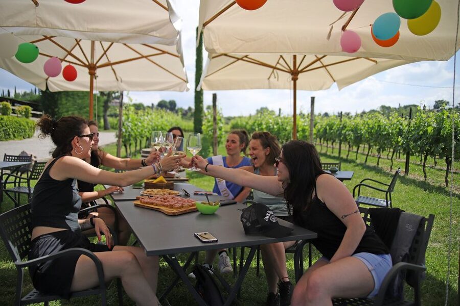 Lake Garda: Wine and Food Tastings in the Vineyards - Practical details before you book