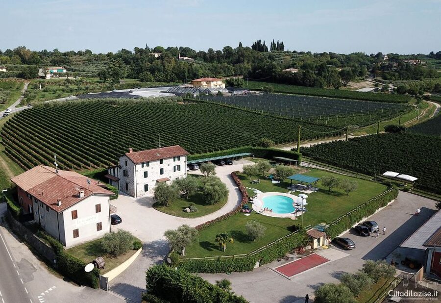 Lake Garda: Wine and Food Tastings in the Vineyards - Should you book it?