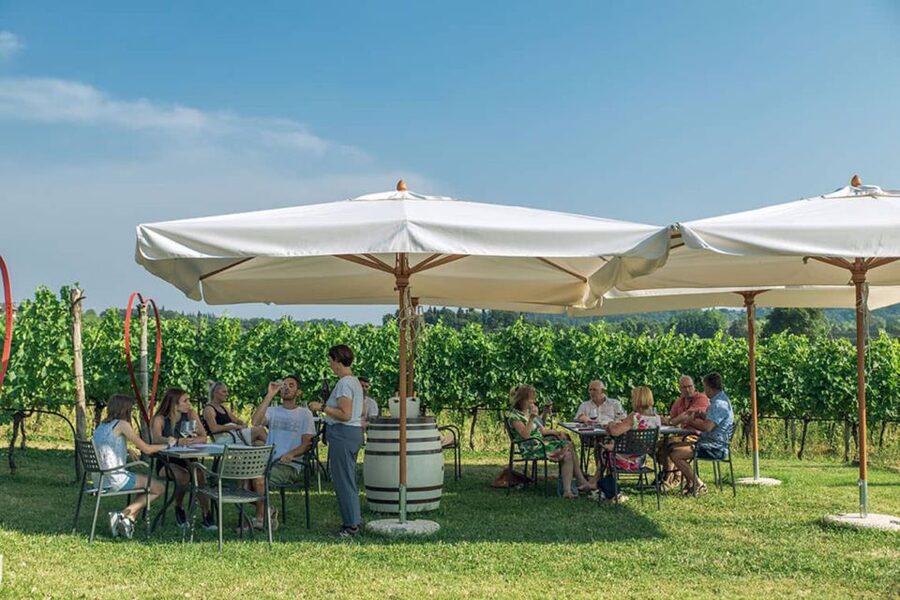 Lake Garda: Wine and Food Tastings in the Vineyards - The family vineyard atmosphere