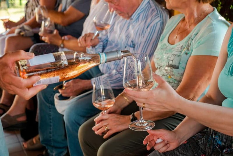 Lake Garda: Winery Tour & Wine Tasting with Local Delicacies - The Cellar Tour Explains What You Are Drinking