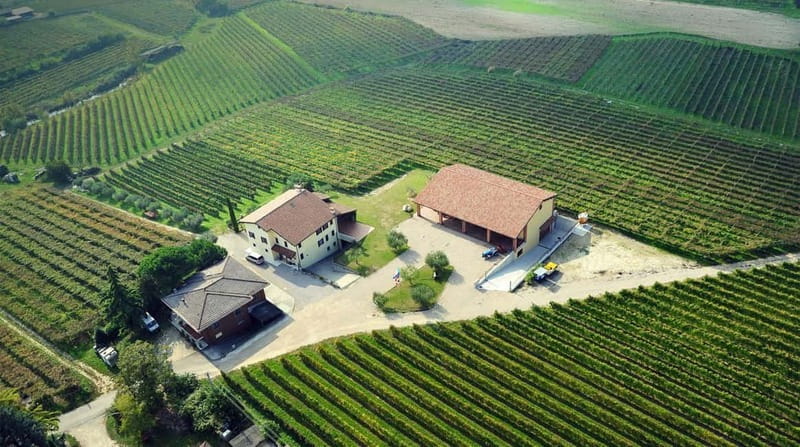 Lake Garda: Winery Tour & Wine Tasting with Local Delicacies - Who Will Enjoy This Most?