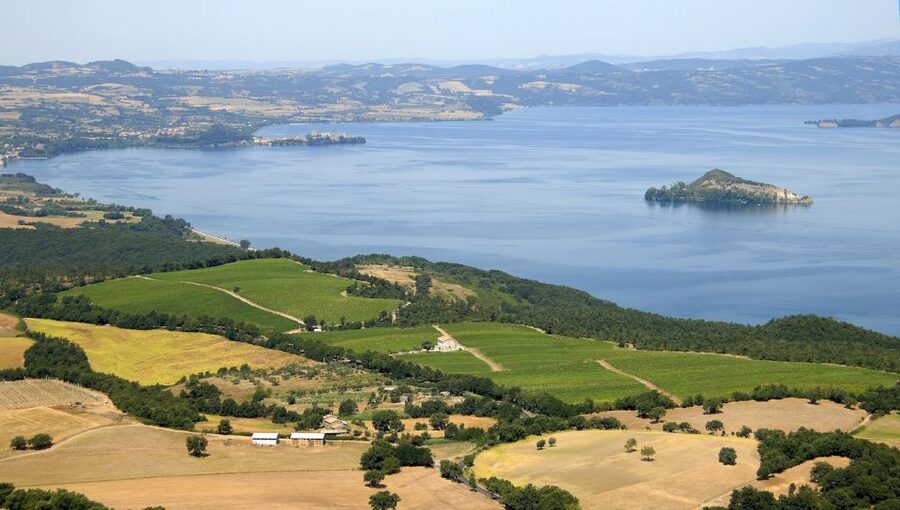 Lake of Bolsena: Private Cellar Tour and Wine Tasting - Key points to know before you book