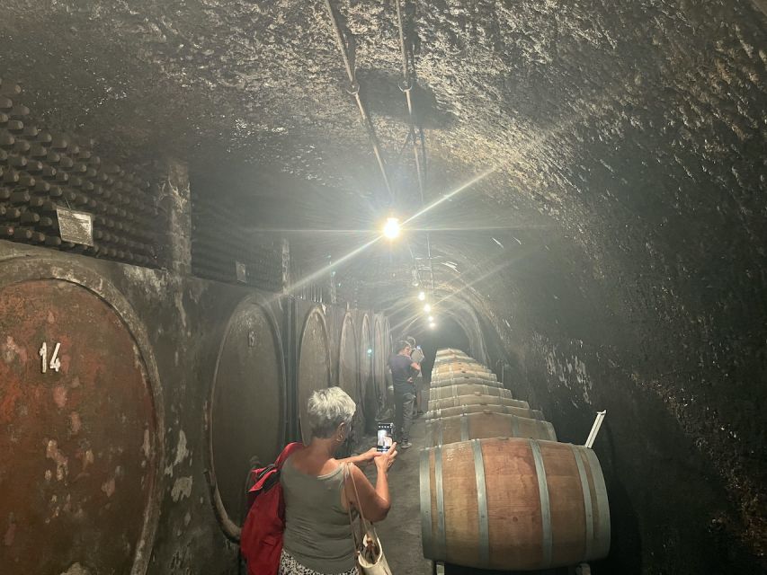 Lake of Bolsena: Private Cellar Tour and Wine Tasting - Why this Montefiascone cellar visit is worth your time