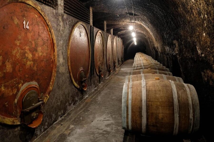 Lake of Bolsena: Private Cellar Tour and Wine Tasting - Going below ground into the traditional cellar