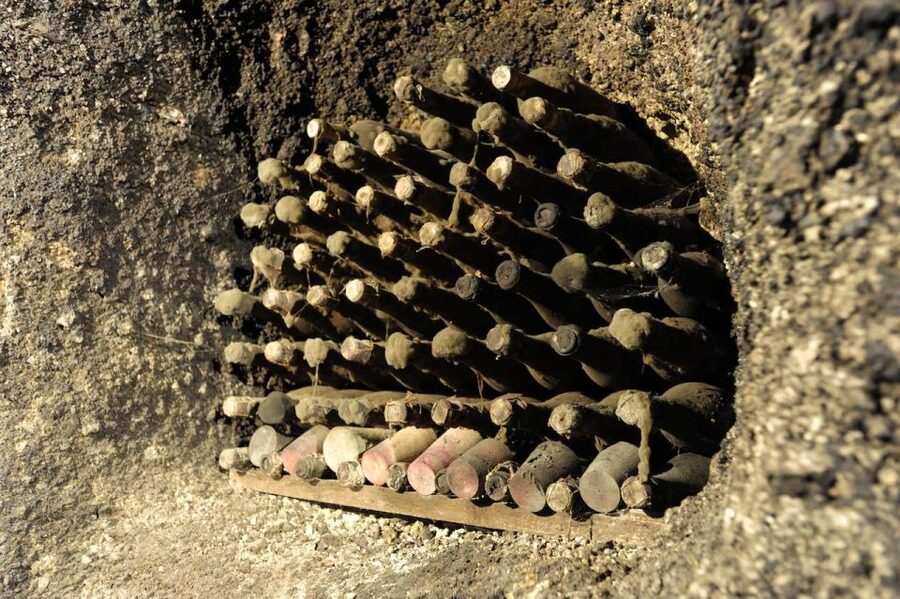 Lake of Bolsena: Private Cellar Tour and Wine Tasting - Who should book this wine experience