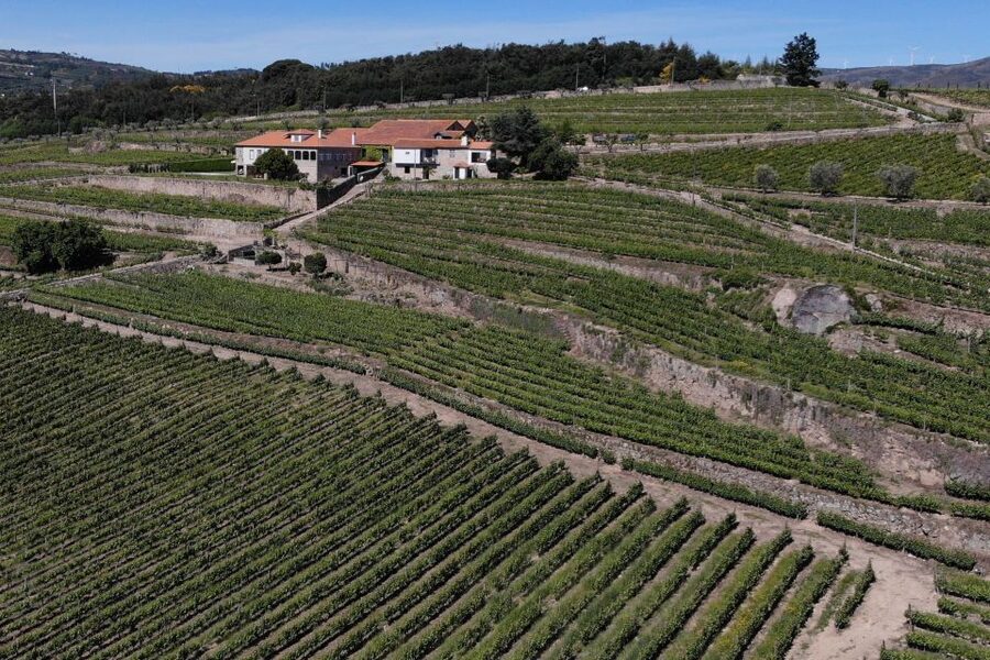Lamego: Quinta da Portela de Baixo Winery Tour and Tasting - Who will enjoy this winery visit?
