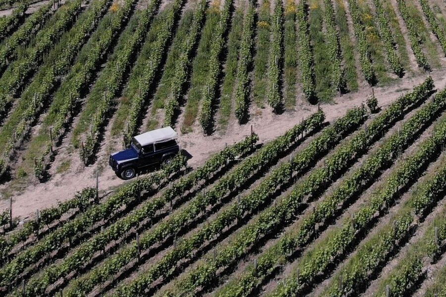 Lamego: Quinta da Portela de Baixo Winery Tour and Tasting - The six-wine tasting and local food