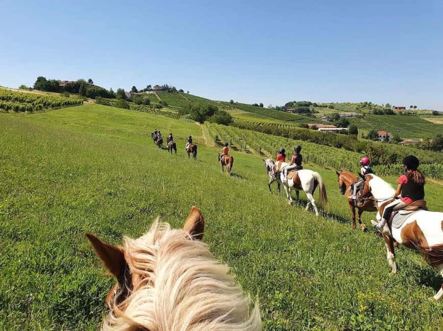 Langhe: Horse Riding in the Vineyards - Key points to know before you ride