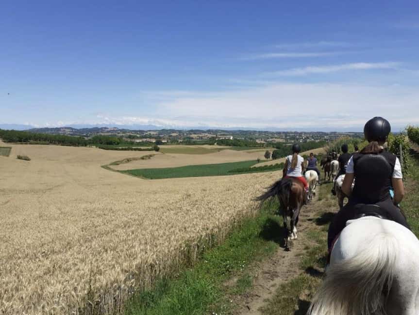 Langhe: Horse Riding in the Vineyards - Why this works for first-time riders