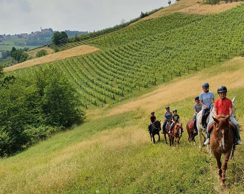 Langhe: Horse Riding in the Vineyards - What the one-hour and two-hour options really mean