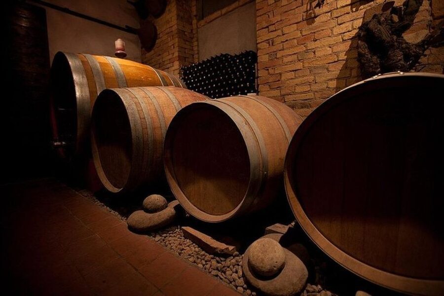 Langhe & Monferrato: Vineyard Tour and Wine Tasting - A family winery in Piedmont’s hill country