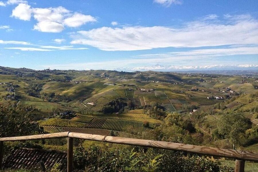 Langhe & Monferrato: Vineyard Tour and Wine Tasting - Who will enjoy this winery visit most