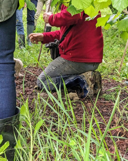 Langhe: Truffle Hunt and Wine-Tasting in a Cellar - The 10 AM hunt with a Trifulau and dog