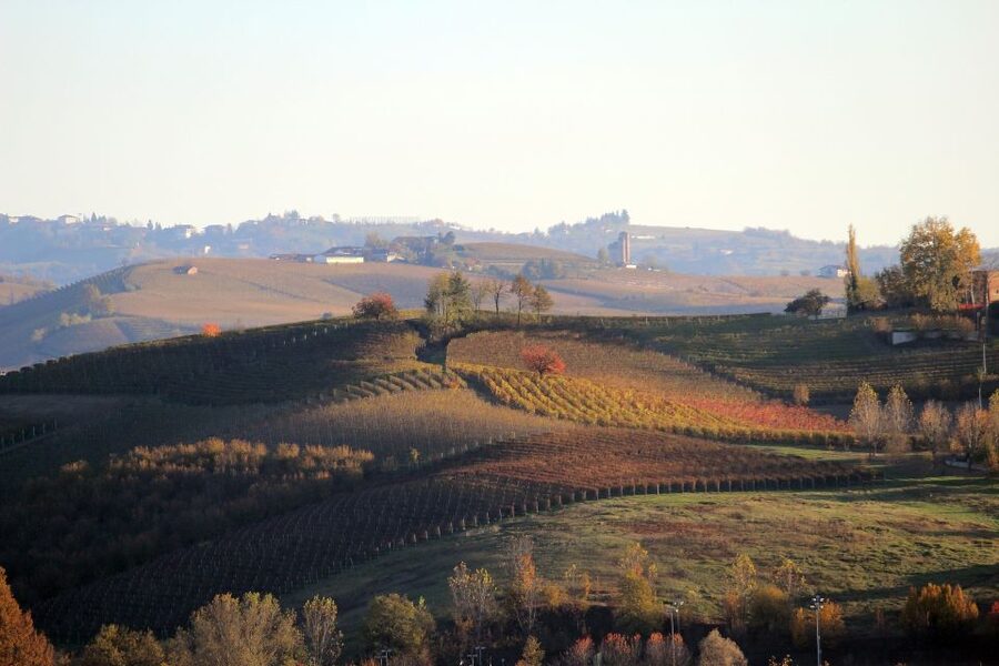 Langhe: Winery Tour and Wine Tasting - Views, atmosphere, and the pace of the visit