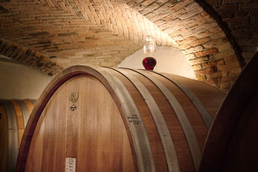 Langhe: Winery Tour and Wine Tasting - Who should book this La Morra tasting?