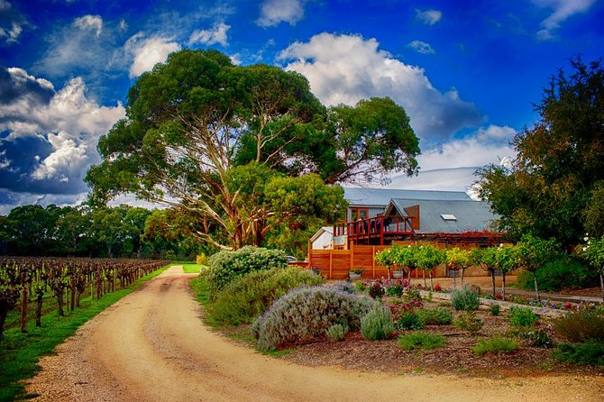 Langhorne Creek Wine Region Daytrip with Lunch from Adelaide - Key points at a glance