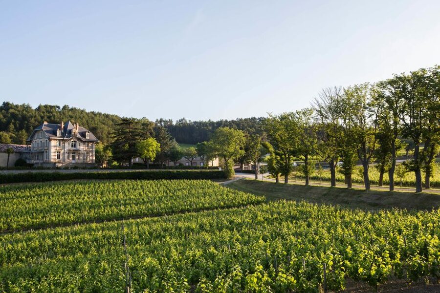 Languedoc: Tour and Tasting at Domaine de Baronarques - Why this estate near Limoux is worth your time