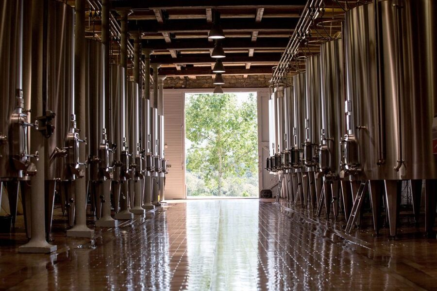 Languedoc: Tour and Tasting at Domaine de Baronarques - The new barrel aging cellar