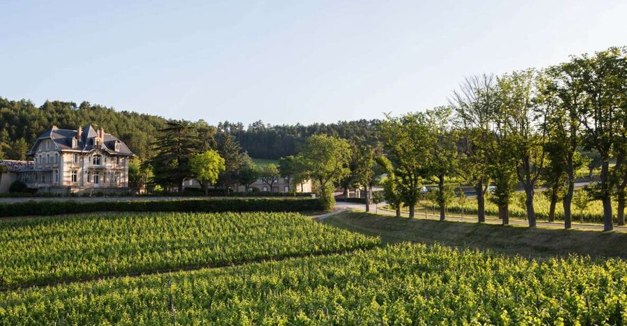 Languedoc: Tour and Tasting at Domaine de Baronarques - The visit begins with the property and its past