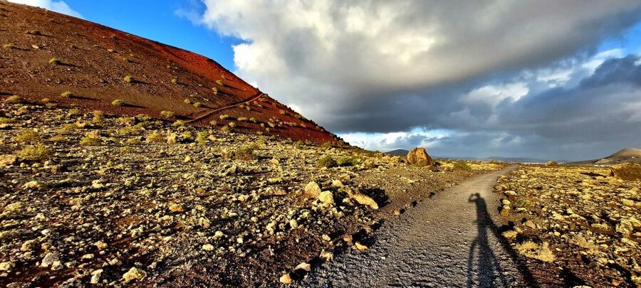 Lanzarote E-Bike Tour: Volcano Craters & Scenic Vineyards - Who should book this Lanzarote e-bike tour?