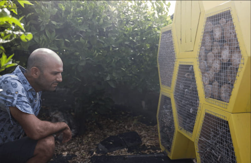 Lanzarote: El Grifo Wine Cellar Tour with Tasting - Why El Grifo’s volcanic vineyards matter