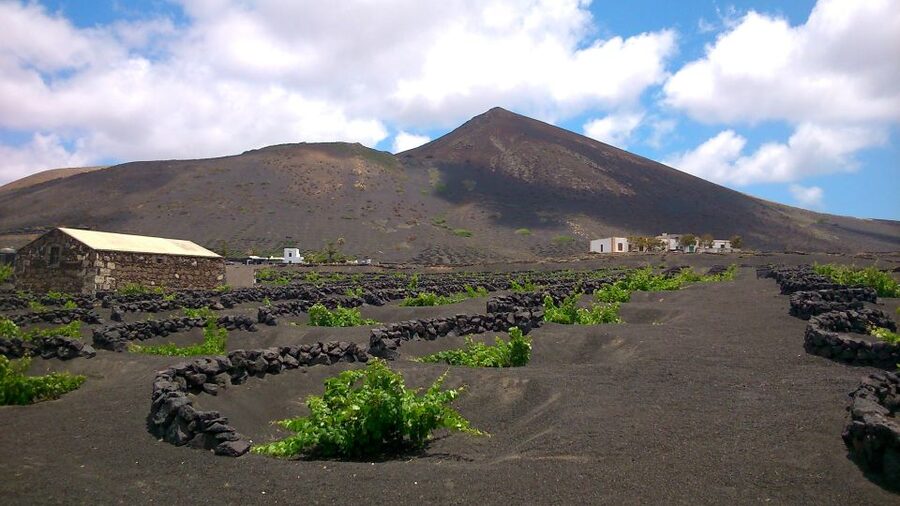 Lanzarote: La Geria Vineyards Hiking Tour - La Geria, where farming begins with black ash