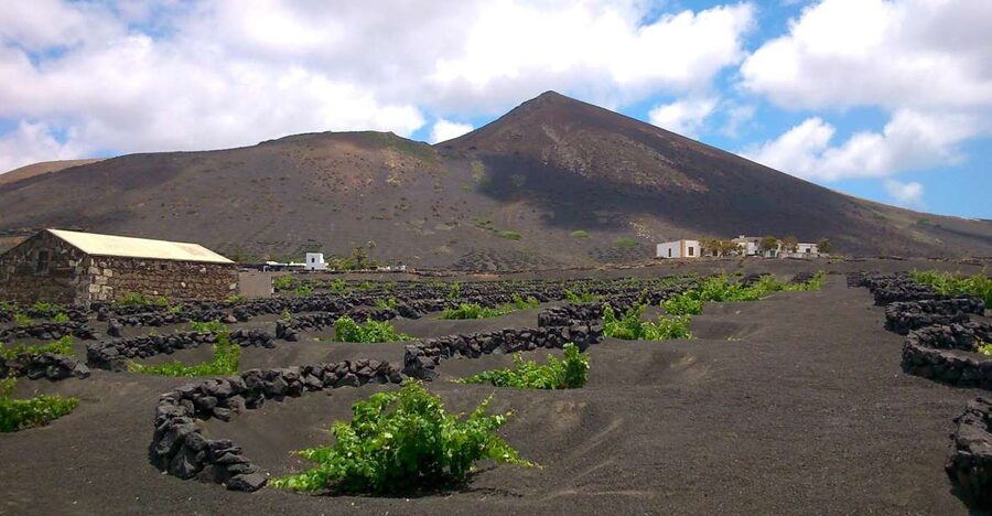 Lanzarote: La Geria Vineyards Hiking Tour - Who should book this La Geria experience?