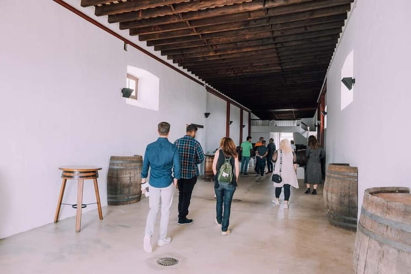 Lanzarote: Sunset vineyard tour with wine and chocolate tasting - What the sunset timing adds