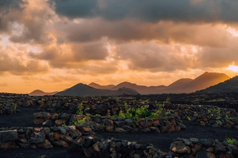 Lanzarote: Sunset vineyard tour with wine and chocolate tasting - The 50-minute walk through vineyard and volcano country